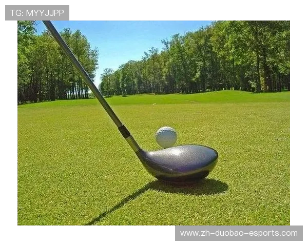 马来西亚男足球星盘点 他们的成长历程与球场成就解析